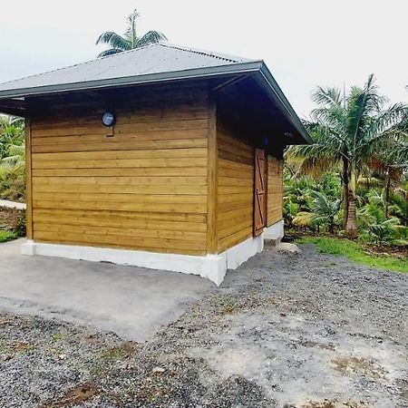 Maison Le Bois Joli Coeur Saint-Benoît Zewnętrze zdjęcie