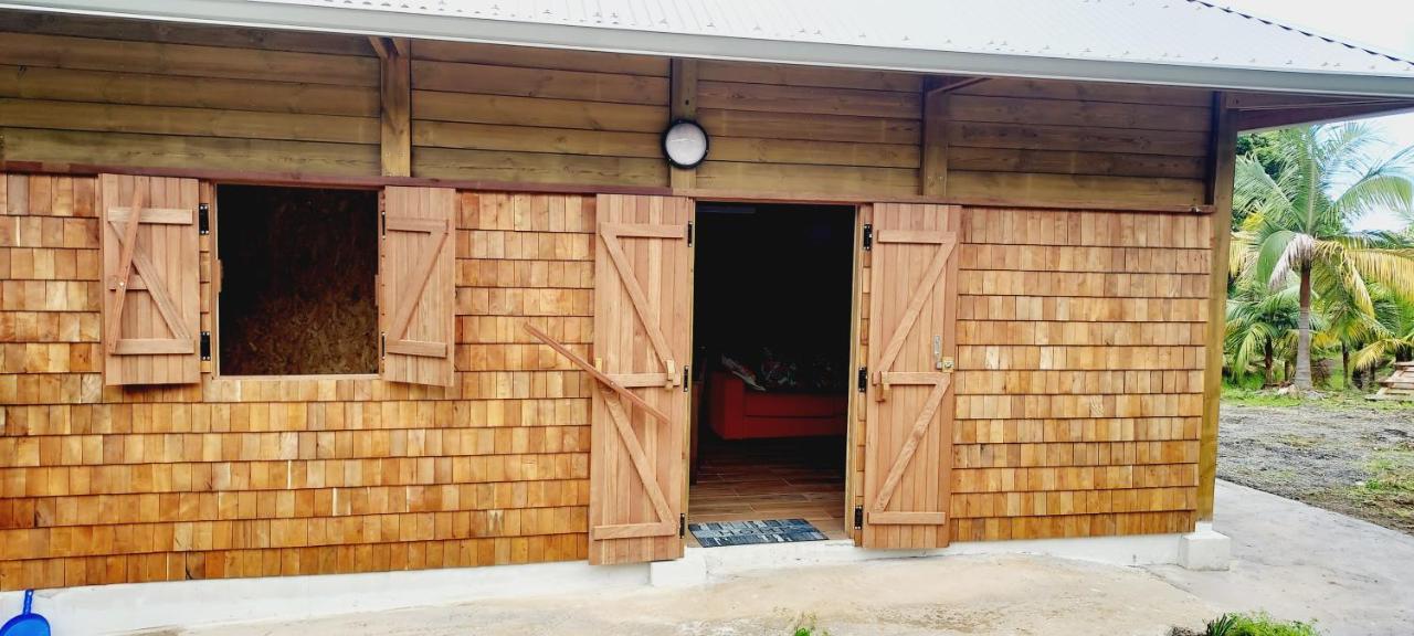 Maison Le Bois Joli Coeur Saint-Benoît Zewnętrze zdjęcie